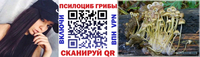 Галлюциногенные грибы прущие грибы  OMG   Щёлково 